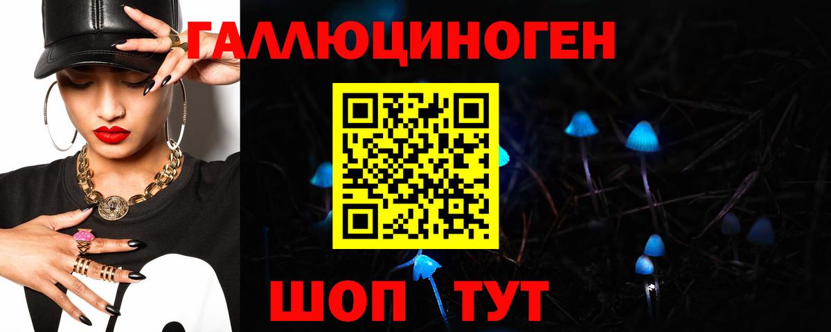 Галлюциногенные грибы Psilocybe Усть-Джегута